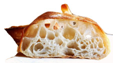 S0URDOUGH STARTER "San Francisco" BEAST+REClPES (19 starters in 1 mix) BST relis