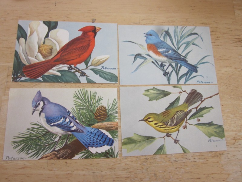 4 Different Unposted 1957-59 MINT Postcard Peterson National Wildlife Federation