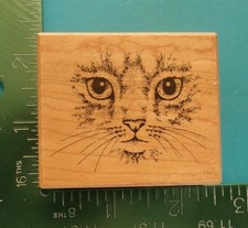 PSX Designs E-951 KITTEN CAT FACE with WHISKERS Rubber Stamp