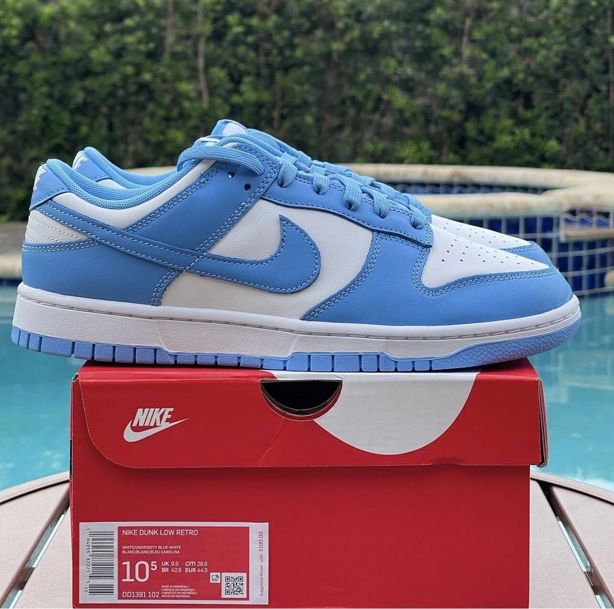 unc nike dunks