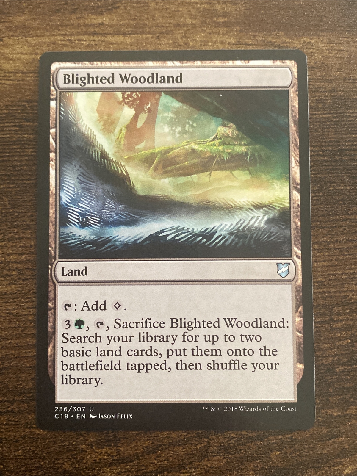 Blighted Woodland 236/307 Commander 2018 MTG Magic The Gathering L3581*