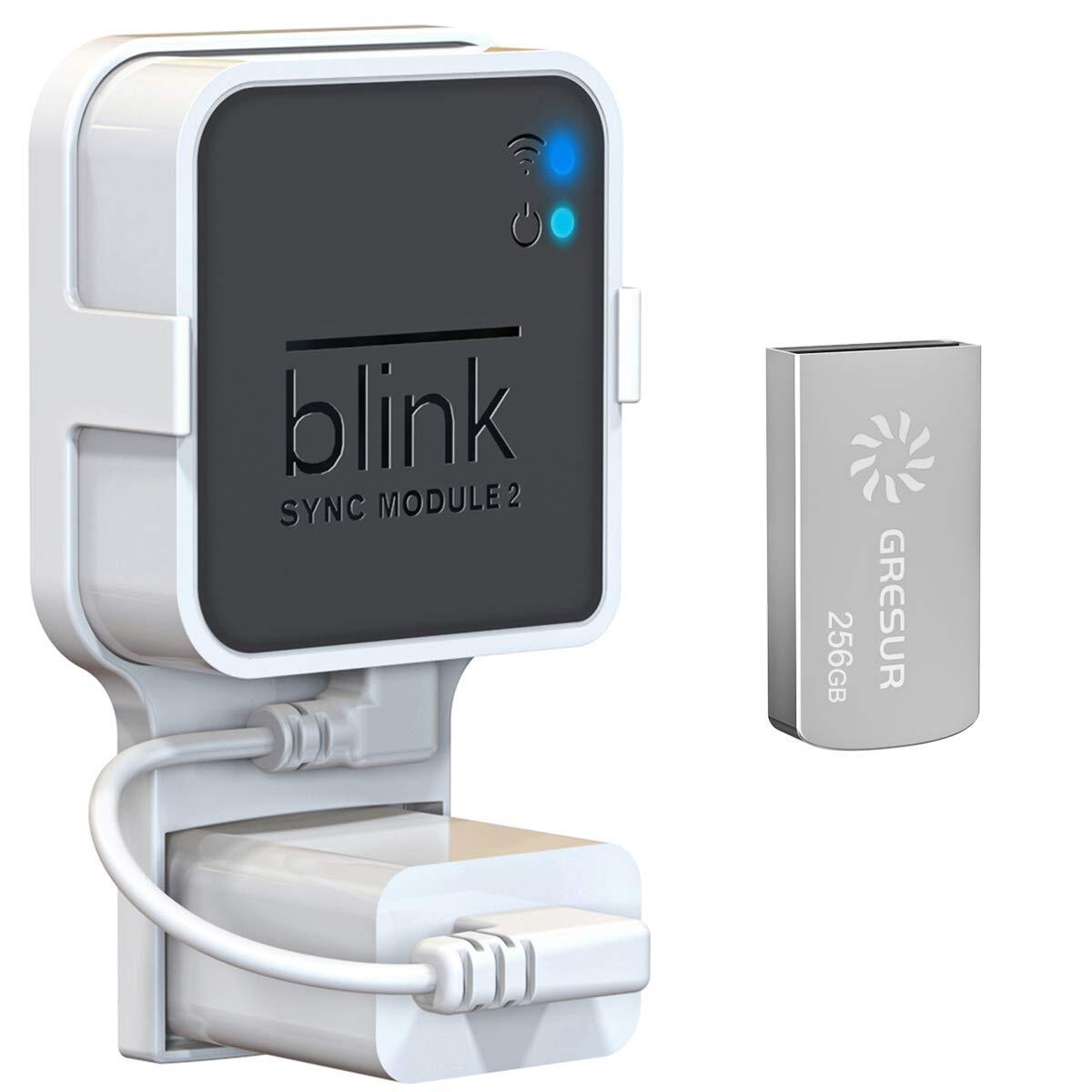 256GB USB Flash Drive for Local Video Storage with The Blink Sync Module 2 Mount-image
