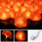 Yescom 2PC 20FT 40 LED Marigold String Lights USB Halloween Day of Dead Decor — photo 6