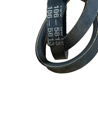 Cintura Di Trazione Ludus Di Kyflie Per Il Tempo Libero