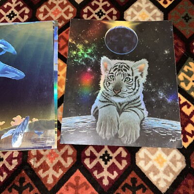 1999 Schim Schimmel 8 Vintage 🤩School Folder White Tiger Art