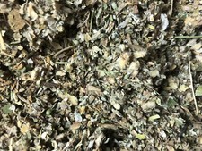 No.23 Blend Herb - Osha Lobelia Mullein Colts Catnip Raspberry Mint - 1 oz ounce