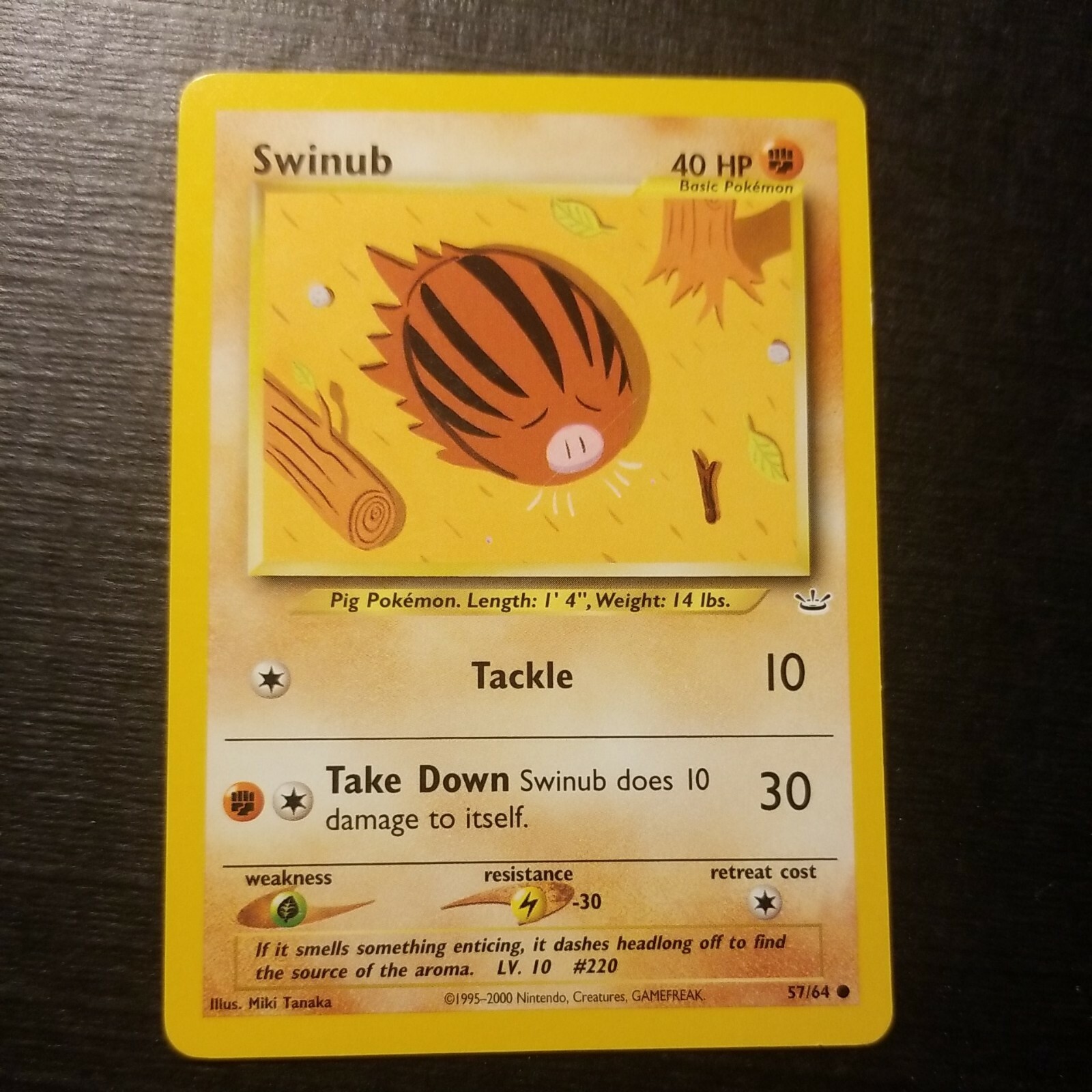 Swinub 57/64 - Neo Revelation - COMMON - VINTAGE WOTC Pokemon Card - NM