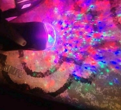 DISNEY MAGIC HOLIDAY  MICKEY MOUSE FANTASTIC FLURRY LED PROJECTION  SPOTLIGHT-2 