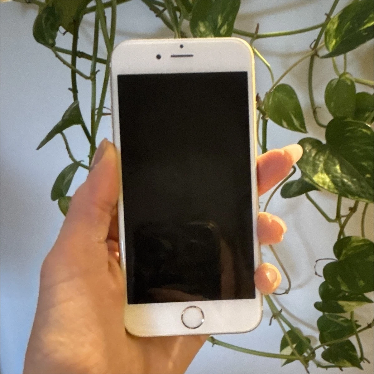 iPhone 6 Unlocked for sale | eBay Australia