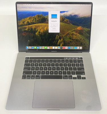 Apple MacBook Pro A2141 16'' i9 9. Gen 16GB RAM 1TB SSD Grade C US 427 Zyklen