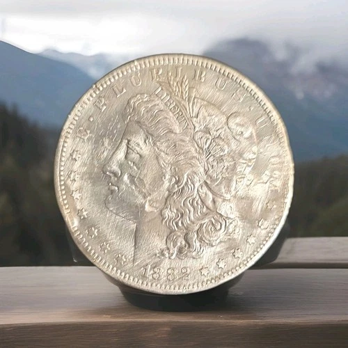 Morgan 1882 Silver Dollar Coin Uncirculated Uncertified Ungraded 0.9 Fineness