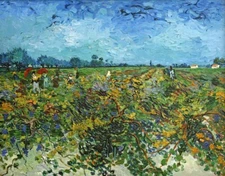 Vincent van Gogh The Green Vinyard - Wall Art Print on Canvas Giclee Repro Small