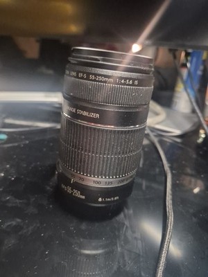 Canon EF-S 55-250mm f/4.0-5.6 IS Lens