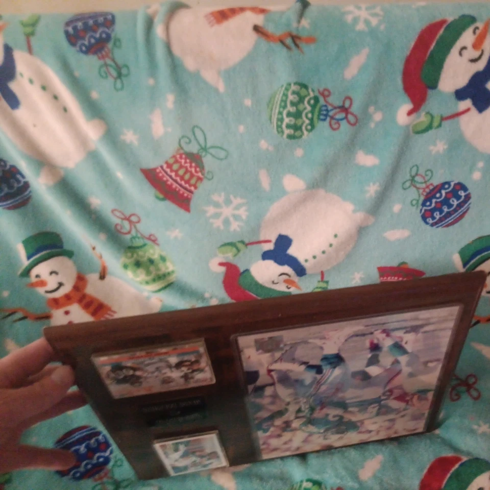 Placa Dan Marino Miami Dolphins 1993-1994 Foto 4 de 4