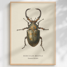 Hercules Beetle Natural History Print | Vintage Entomology Wall Art