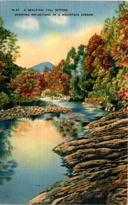 N-49, Mountain Stream, Asheville, Asheville Post Card Co. Postcard