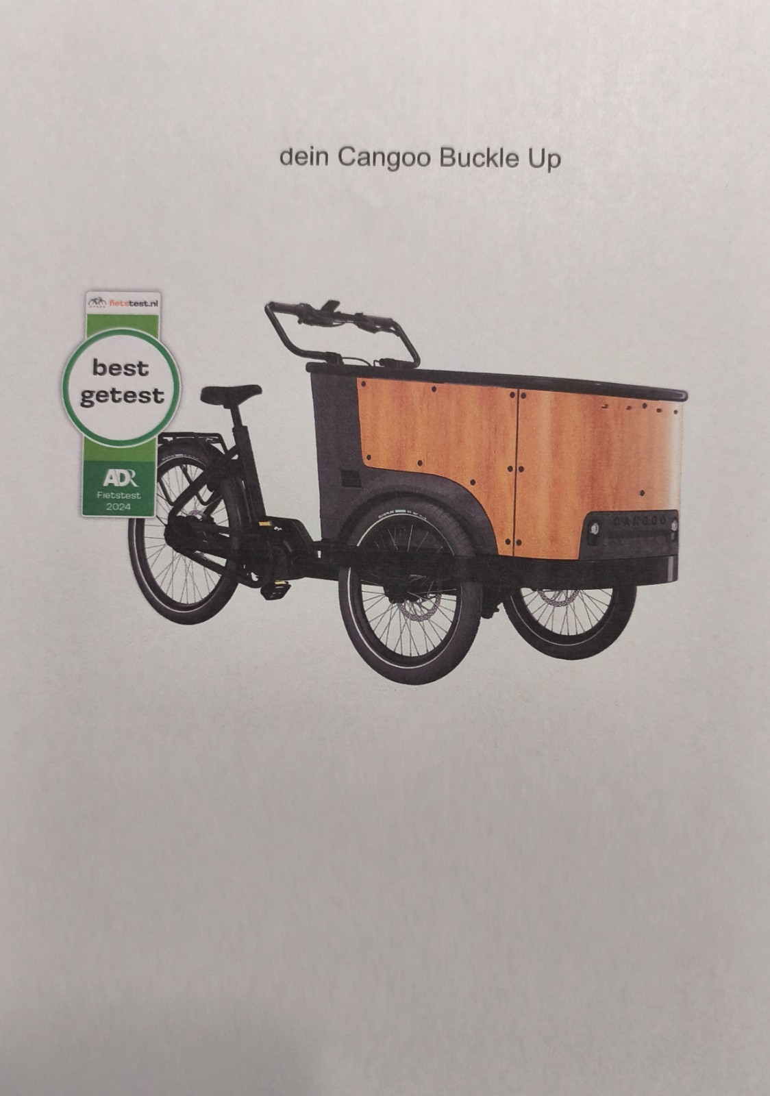 Cangoo Buckle Up E-Lastenbike