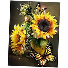 iamond Painting Kits for Adults, 12x16 InchIY Paint by Numbers for Adults D