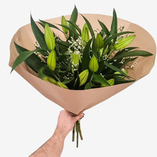 Just White Lilies - Stunning Floral Bouquet, Fresh Flowers Delivered Next Day Pr