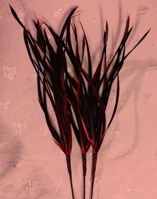 NWT Purple Feather Pick, Triple Stems of Goose Wing Feathers-19.50''T