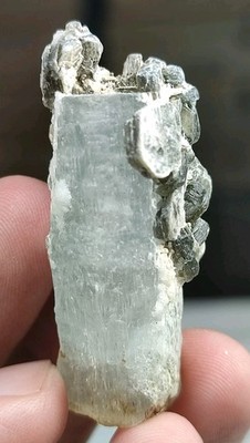 Aquamarine Crystal On Unique Multi Terminations-Shigar Valley, Pak.