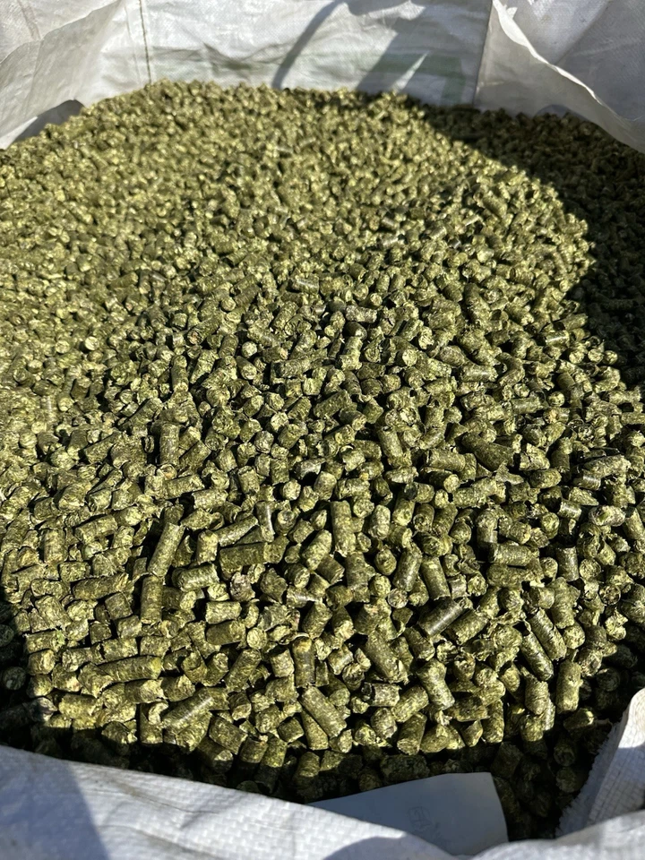 Verkaufe Neue 20kg Grascobs/ Heucobs für Pferde und Nager 2025 - Bild 3 von 4