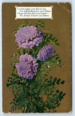 I'm Looking For Your Letters I Hope It's Not That You Forgot Postcard