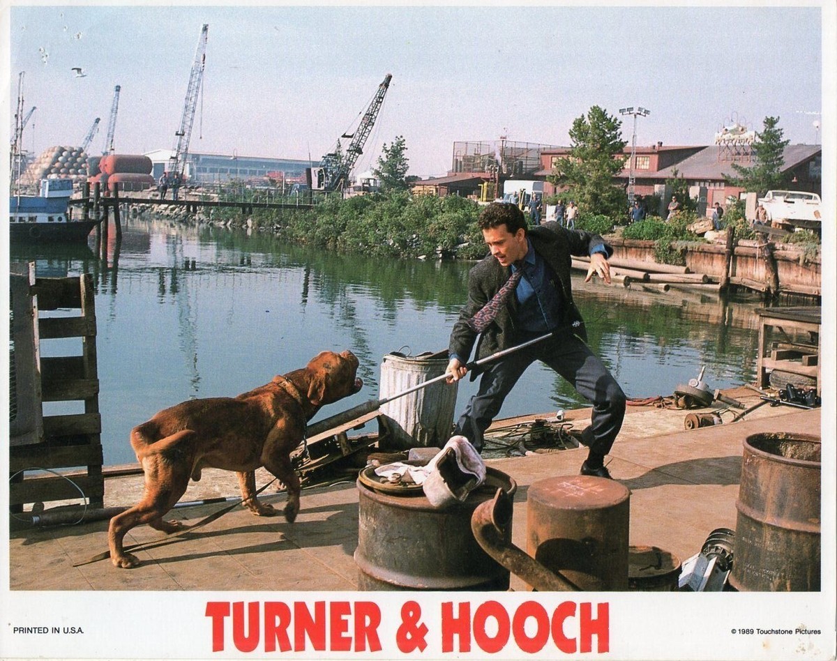 Beasley What Type Of Dog Was In Turner And Hooch Breed Of Dog From