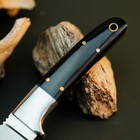 7.7" inch D2 Steel Hunting Knife Full Tang Resin Handle Fixed Blade + Sheath — photo 3