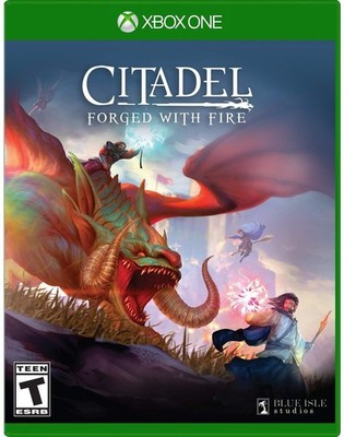 Citadel Forged with Fire - Xbox One Standard Edition (Microsoft Xbox One)