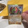 Pokémon Meganium (Delta Species) Holo Rare 4/101 Dragon Frontiers 110HP Eng