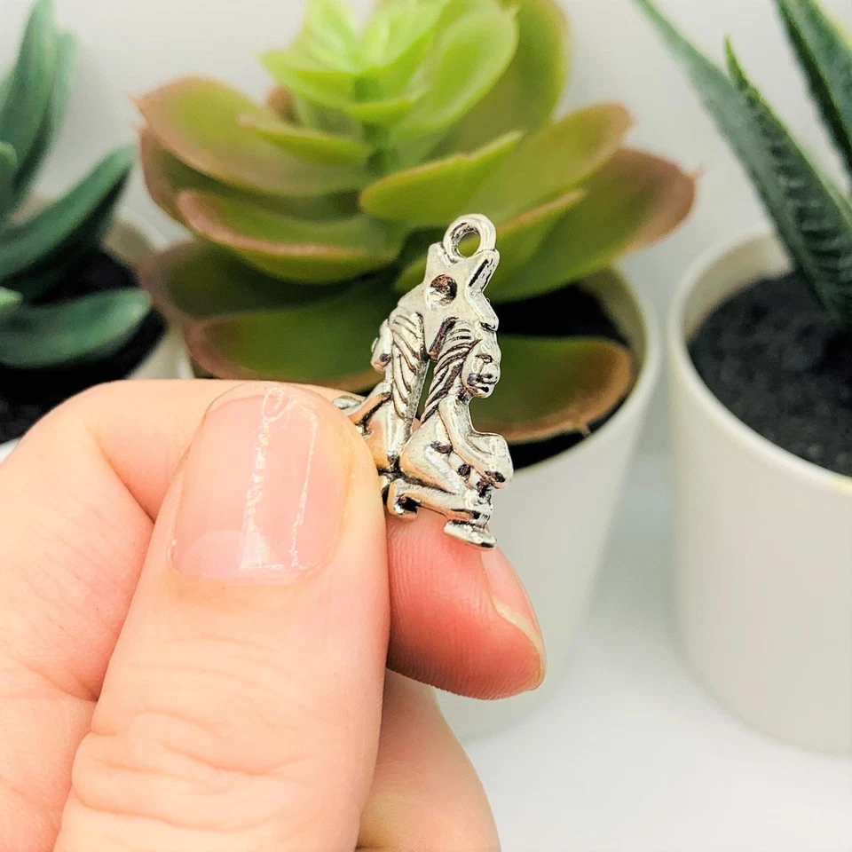 Dijes antiguos de plata para signos de astrología de personajes del zodiaco/astrología - Vendedor de EE. UU. Foto 4 de 4