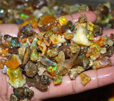Certified Natural Ethiopian Small Fire Oil Opal Welo Rough 201 Ct Loose Gems