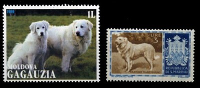 MAREMMA ITALIAN SHEEP GUARDING DOG INTERNATIONAL POSTAGE STAMPS x 2 different
