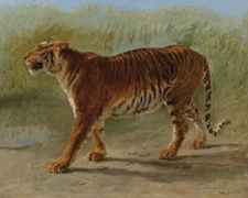 Royal Tiger 1850 by Rosa Bonheur Western Giclee Art Print Ships Free