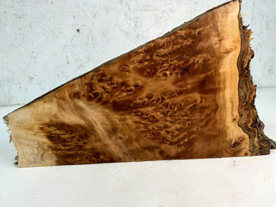 Cottonwood Burl Chunk | Partial Live Edge | 16'' x 9'' x 2-1/4'' | CB 201