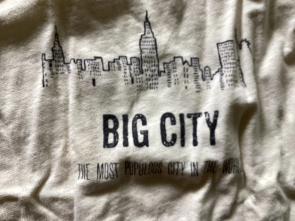 ZARA BOYS Jungen Langarm T-Shirt Weiß Gr. 140 Rundhals BIG CITY Print - Bild 2 von 4