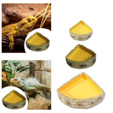 Reptile Water Bowl Feeding Bowl Decorative Resin Reptile Feeder for Amphibian