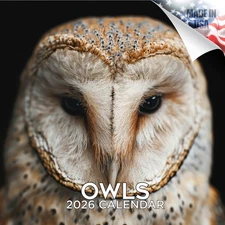 Owls Calendar 2026 FULL SIZE 12x24 Made in USA