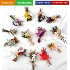 Mini Dried Flower Bouquet, Wildflower Decor, 13 PCS for Crafts or Photo Props