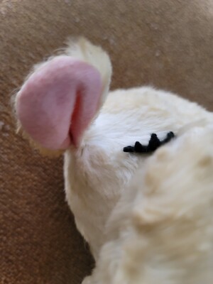 Lammi Gund Sleeping Lamb Mohair Plush Stuffed Animal Vintage Sheep