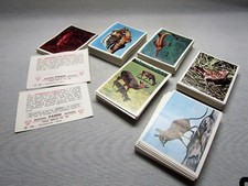 ANIMALI DI TUTTO IL MONDO-PANINI 1965-FIGURINA a scelta-STICKER at choice-REC.