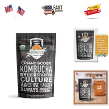 Organic Kombucha SCOBY  12 oz Tea for One Gallon Brew   Easy Home Fermentation
