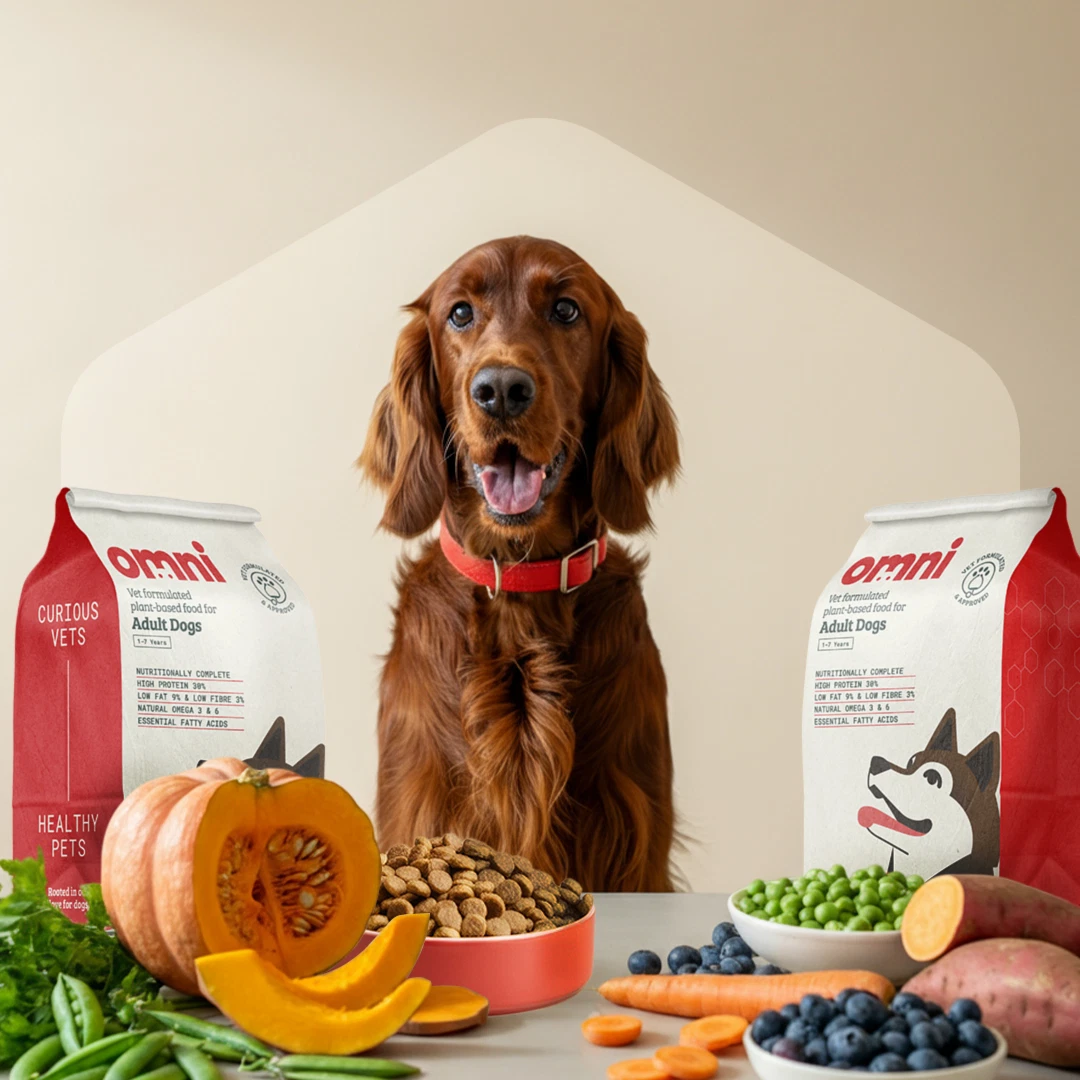 Omni Vegan Adult Dog Food | Complete Balanced Nutrition | Hypoallergenic
Opens in a new window or ta
