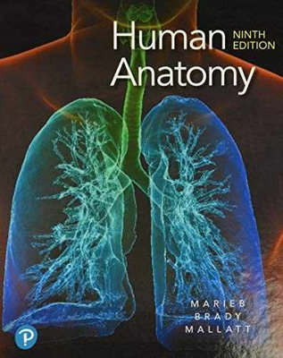 #ad #ad Human Anatomy Hardcover by Marieb Elaine; Wilhelm Patricia; Mallatt Good $193.22