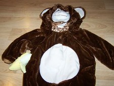 Disfraz De Mapache Para Primavera Niños Festival Escolar | Meses sin interés