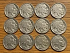 BUFFALO Nickel: Starter Set, 1926-1938: PDS Mints, Lot of 12 Different, VG-VF