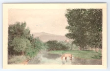 c1910 Horse Drinking in River Pastoral Scene Art Postcard, Rural Farm Mountains