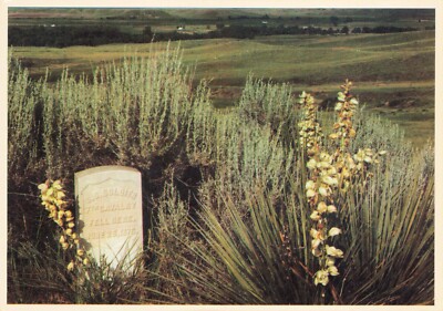 Custer Battlefield Headstone Crow Agency MT Old Continental Postcard Unposted