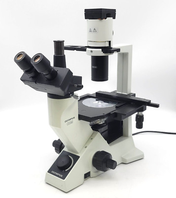 Olympus Microscope CK40 with Phase Contrast and Trinocular Head